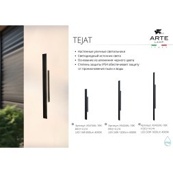 Фасадный светильник Arte Lamp TEJAT A5432AL-1BK