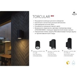Фасадный светильник LED 2700/3400/4000 750Lm Arte Lamp TORCULAR A1307AL-1BK