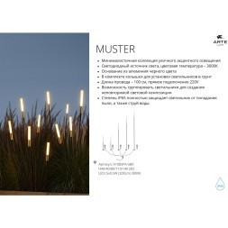 Грунтовый светильник Arte Lamp MUSTER A1083PA-5BK
