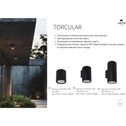 Фасадный светильник LED 2700/3400/4000 1450Lm Arte Lamp TORCULAR A1313AL-1BK