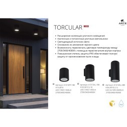 Фасадный светильник LED 2700/3400/4000 2600Lm Arte Lamp TORCULAR A1313AL-2BK